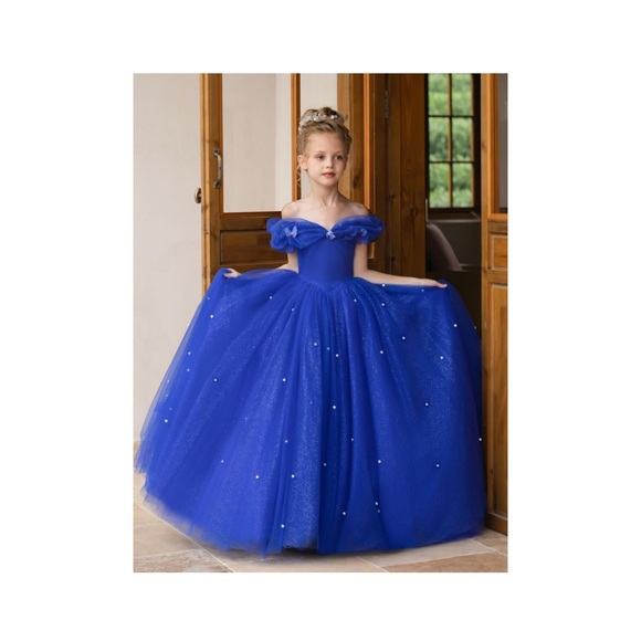 Elegant Blue Ball Gown Dress - Picture 1 of 5